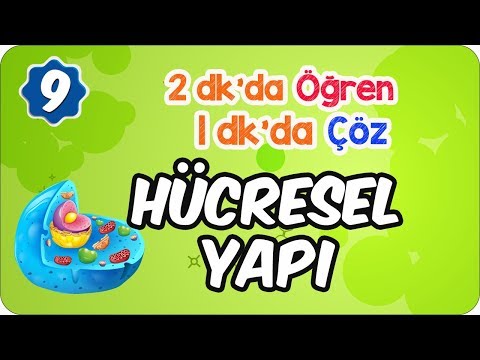 Hücresel Yapı Bakımından Canlılar | 2 Dakikada Öğren 1 Dakikada Çöz