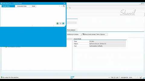 15   FIORI CONFIGURATION - CREATING FIORI ADMINISTRATOR ROLE
