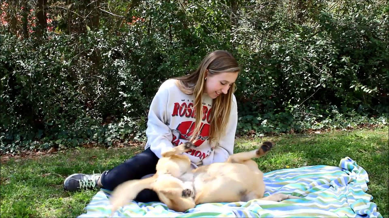 orphan annie rescue orphan annie rescue
