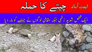 Man Being Attacked by A Leopard in Abbottabad Pakistan | Latest News | Leopard Pakistan