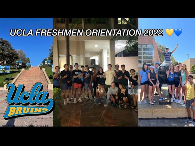 Introducing UCLA Club Roller Hockey - UCLA Club Sports