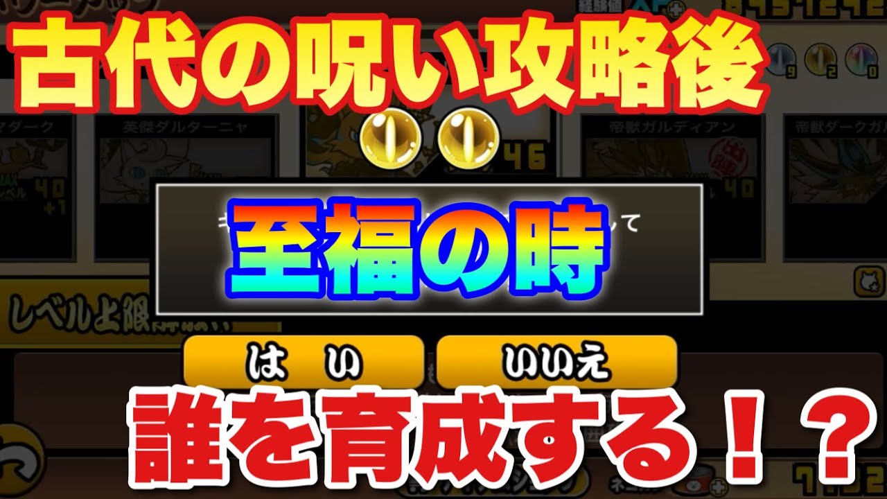 Two-player live Nyanko Battle Cats] Blissful moment 