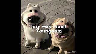 very very small - Youngohm (speed up)