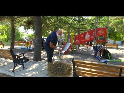 აფხაზეთის გეოლოგიისა და მინერალური რესურსების სააგენტოს გარემოს დაცვის სამსახურის დასუფთავების აქცია