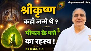 श्रीकृष्ण जन्माष्टमी का असली रहस्य क्या है? | जेल, पीपल का पत्ता और सतयुग का संबंध |  BK Usha Didi