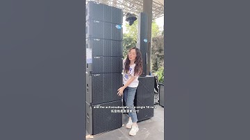 CAF dual 10inch line array speaker#audio #ma nu #manufacturer #soundsystem #supplier