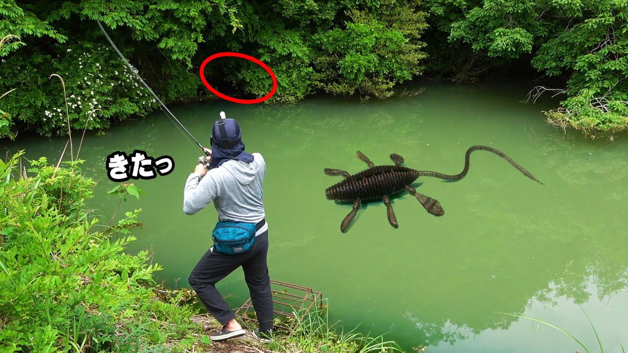 ABYSS代表 渥美拓馬さんご来店!! 12月16日(土)イベント開催!! 〇