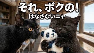 [Digest] The Story of the Black Cat Across the Waves and Poco #BlackCat #AnimalAnime #Panda