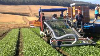 Morrish Engineering SH3 Baby Harvester, with crate carrousel