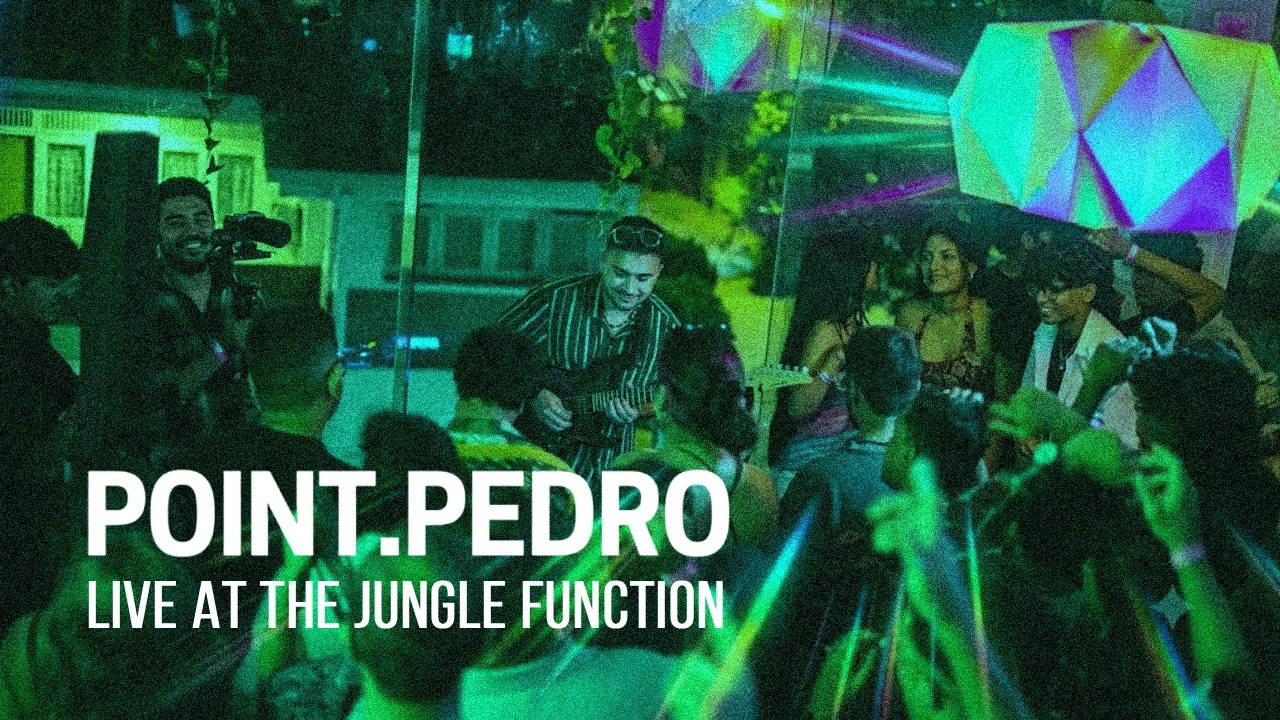 Point Pedro LIVE (Guitar + Keys) | Disco House DJ Set