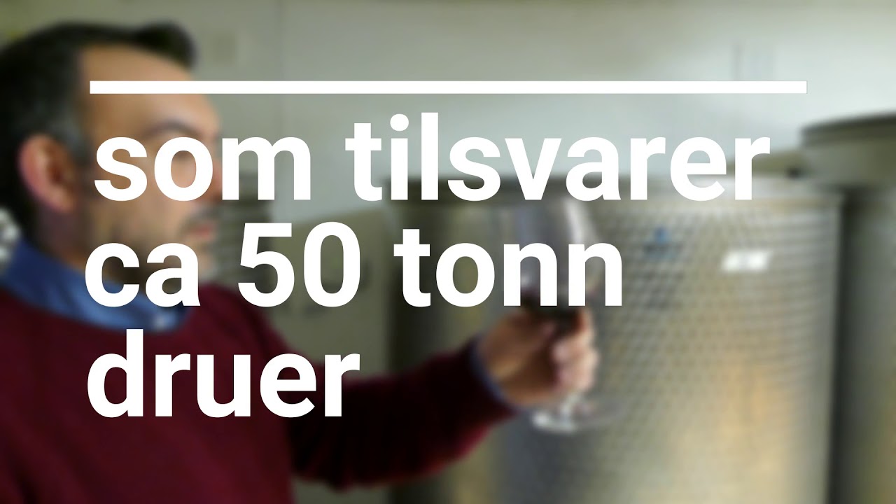 Mannen som vil gjøre Østfold til vindistrikt