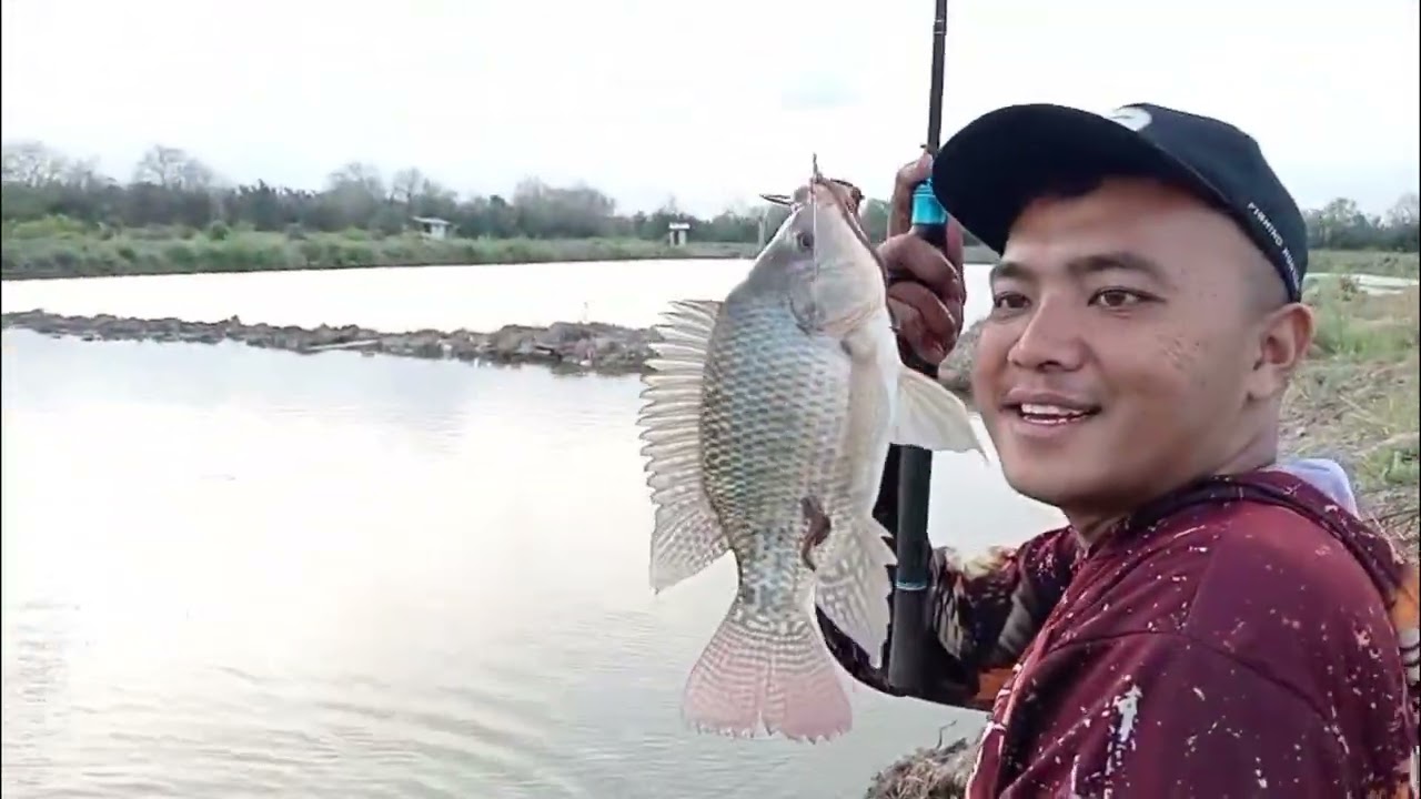 Di buka perdana kolam Satria 100 TM tiket 100 k pukul 22:00 wib  28-02-2026  . 