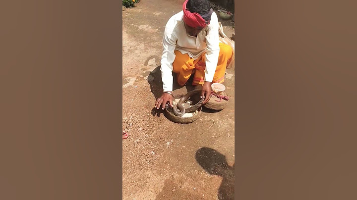 sap wala aye tuhar gav ma #sapvala #snakevideo #cgshortvideo#cgvirelsong  #chhattisgarhvideo#raipur