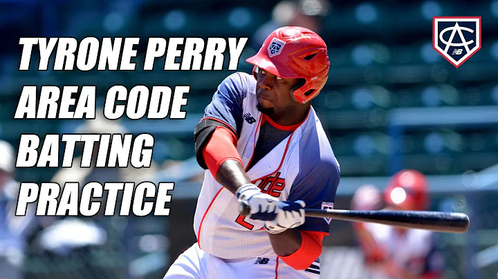 TYRONE PERRY Batting Practice | 2014 Area Code Games