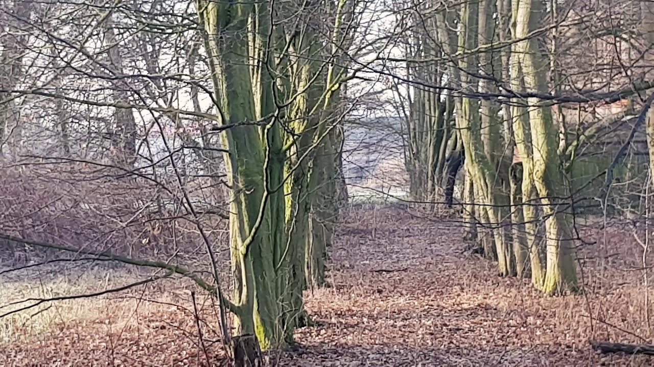 Podróże Nieoczywiste Wielkopolska cz. 14. Żabno, Żabinko, Srocko Wielkie.