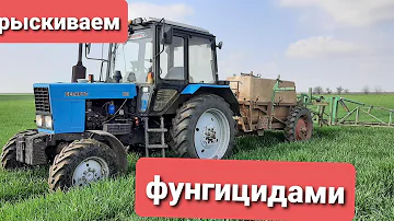 Опрыскивание ярового и озимого ячменя 24.04.21