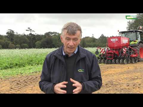 Video: How To Cultivate The Soil