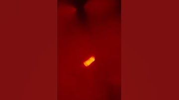 Society By The Weeknd (Snippet)