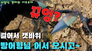 대박!! 팔아플 정도로 잡았습니다... 무한 입질에 방어 형님까지!! 말그대로 타작!!  #fishing #영덕낚시 #서프루어 #갯바위 #낚시포인트 #양태 #방어 #광어 #성대