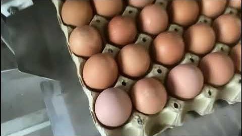 Phezer UV laser marking machine printing on eggs