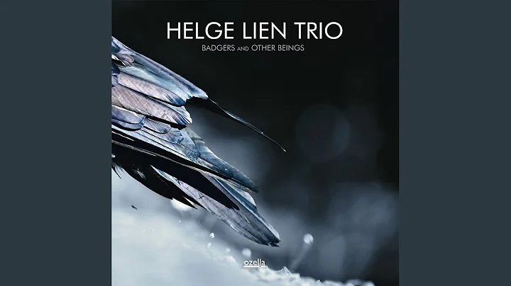 Helge Lien Trio - Topic