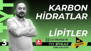 2026 Tyt Biyoloji Karbonhidratlar Ve Lipitler En Net Karşılaştırma Hayat Kurtaran Taktikler