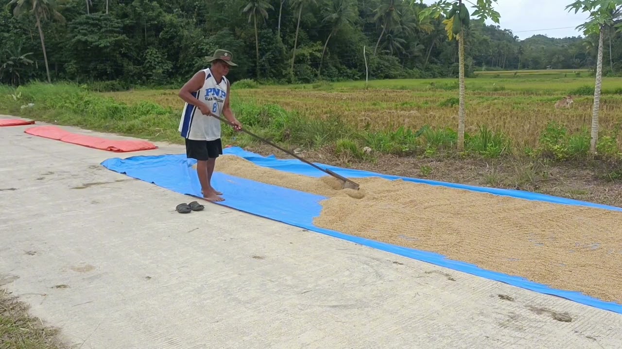 VLOG 199 | Harvester Shares