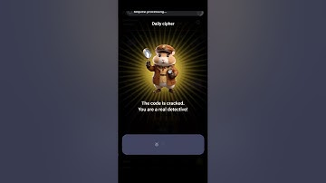 3 August Hamster Kombat Daily Cipher Codes | Daily Cipher Hamster Kombat Today