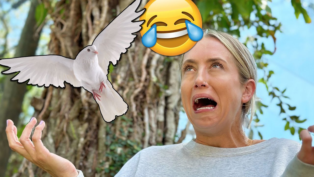 a bird pooped in Allie's mouth 🤣 is that good luck? YouTube