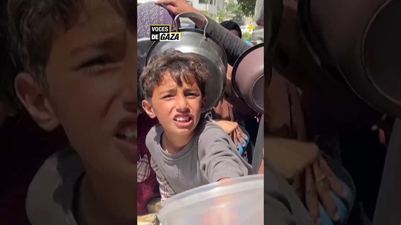 يطلب سكان غزة الطعام بشكل عاجل