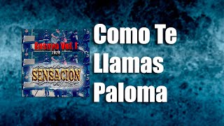 08. Como Te Llamas Paloma