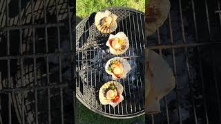 Hand dived scallops on the bbq #seafood #bbq #spring #clams #shorts