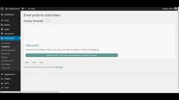 Steps to do after plugin activation - Email posts to subscribers WordPress plugin