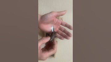 Review nhái hơi câu lóc Frog toon V4 thái lan 10g, mồi nhái giả câu lure lóc bông đồng nhạy nhất