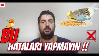 BU HATALARI YAPIYORSANIZ KUŞUNUZ FAZLA YAŞAMAZ! // En Çok Yapılan Bakım HATALARI!