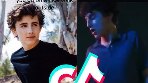 Timothée Chalamet Play Date TikTok Edit