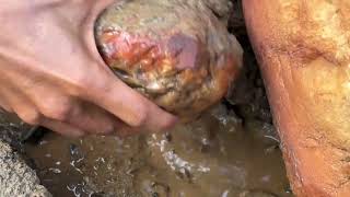 WONDWRFULL..! SHOCKING VIDEOS OF GOLD DISCOVERY,.!! GOLD FINDING, GOLD RUSH, TRADITIONAL GOLD MINING