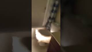 Guy starts floating when he sees toilet meme