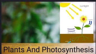 Plants and Photosynthesis Introduction - Structure of leaf
