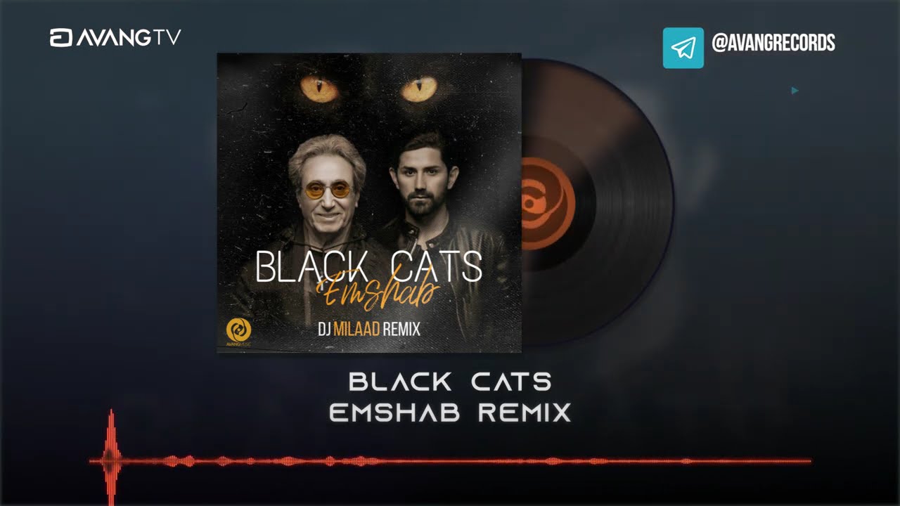 Black Cats - Emshab OFFICIAL REMIX | بلک کتس - امشب رمیکس