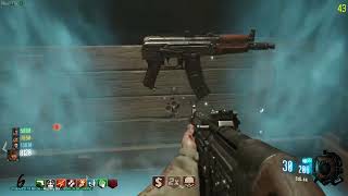 Sora and his bot buddys play zombies Chronicles again 