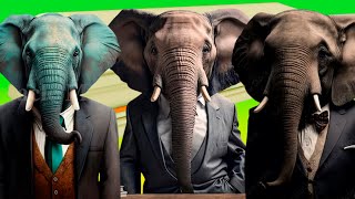 Funny Elephants - Coffin Dance Song *PART 2*(COVER)