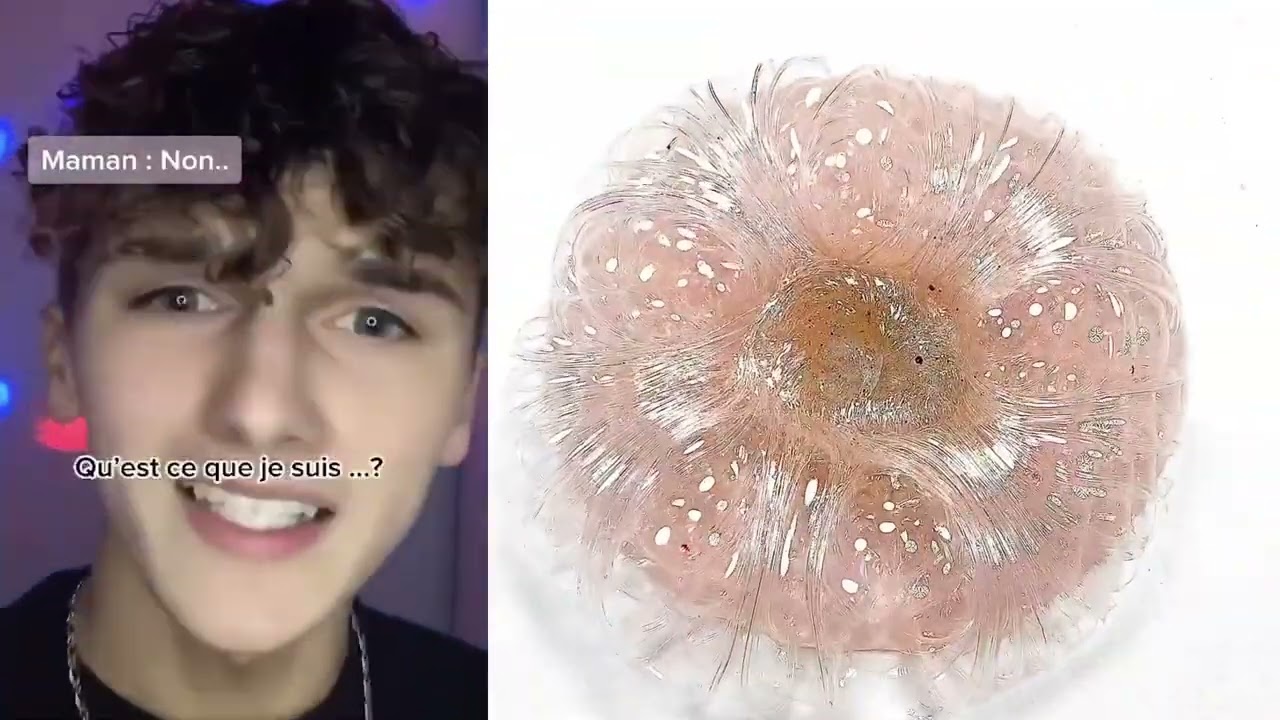 🌈histoire de slime🥰 Yovan Tiktok petites &  Satisfying ❤️💛🩵 #36 