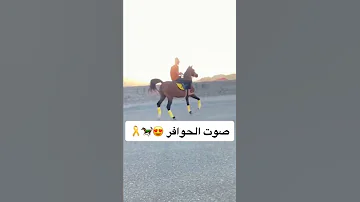 صوت حوافر الخيل 