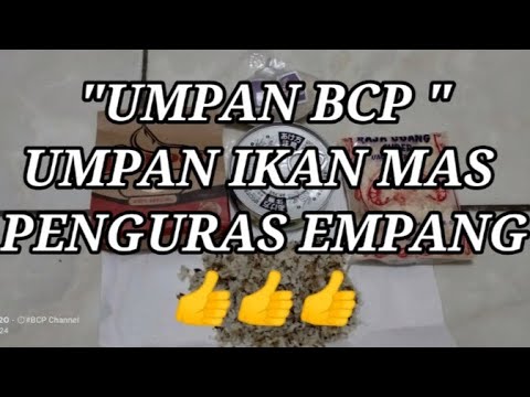 Umpan BCP #Umpan ikan mas#Umpan penguras Empang...👍👍👍