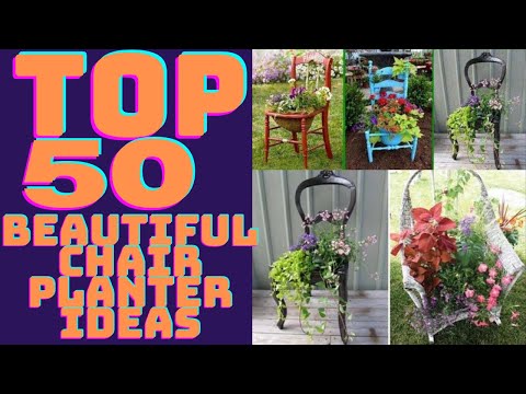 Top 50 Cool