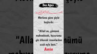 Allahım, Günümü Mahvedecek, Huzuruma Göz Dikecek Insanlardan Uzak Eyle Beni.