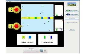 Membrane Channel simulation