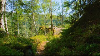 🍃 Awe-Inspiring Landscapes: Relaxing Music and 4K Nature Scenes | Relax Now ♪