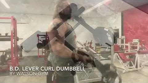 B.D. lever curl by Watson Gym